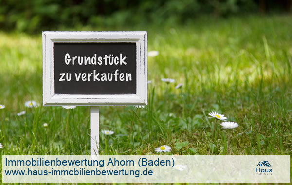 Professionelle Immobilienbewertung Grundstck Ahorn (Baden)